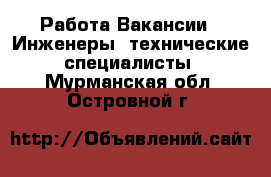 Работа Вакансии - Инженеры, технические специалисты. Мурманская обл.,Островной г.